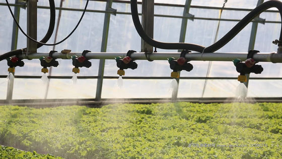 VS/Canada Staalstructuur Groenten Planten Eenboogkasten voor Hydroponics