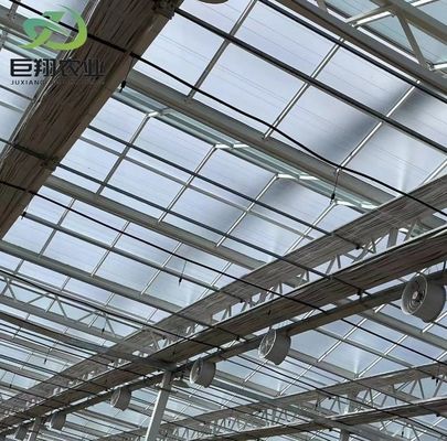 Juxiang's vochtigheidsgecontroleerde plantfaciliteit Pakket bruto gewicht 2000.000kg Oplossing