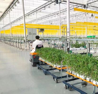 Maximaliseer uw tomatenopbrengst met anti-druppeltechnologie