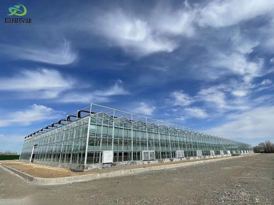 Groene bladeren Groenten Film PC-plaat Landbouw Multi-Span kassen voor hydroponie