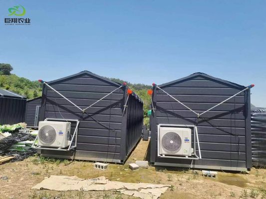Groene bladeren Groenten Film PC-plaat Landbouw Multi-Span kassen voor hydroponie
