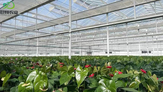 Op maat gemaakte aanvraag Spray koeling Planthuis voor zaailingen Stalen structuur Aanpassing