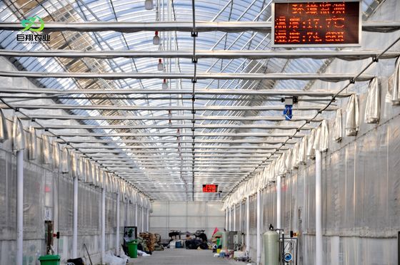 Doppelschijferige verlichte groeistructuur voor hydroponische zaailingen in multi-span