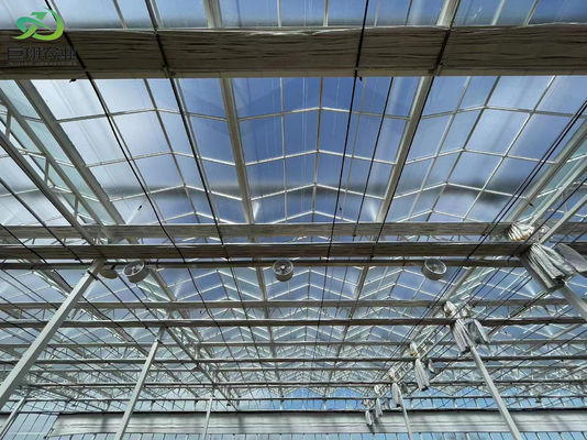 Doppelschijferige verlichte groeistructuur voor hydroponische zaailingen in multi-span