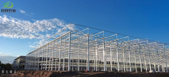 Tunnelverbouwmethode Multi Span kas met warm gedipteerd gegalvaniseerd stalen buis