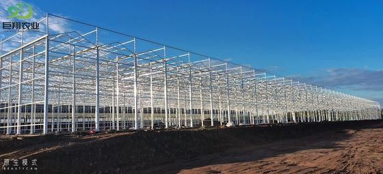 Tunnelverbouwmethode Multi Span kas met warm gedipteerd gegalvaniseerd stalen buis