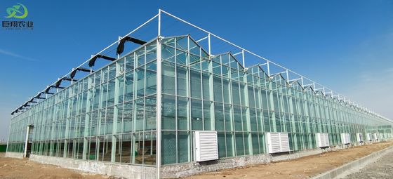 Tunnelverbouwmethode Multi Span kas met warm gedipteerd gegalvaniseerd stalen buis