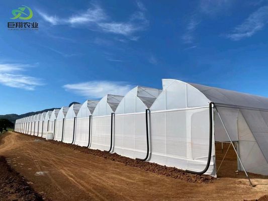 Tunnelverbouwmethode Multi Span kas met warm gedipteerd gegalvaniseerd stalen buis