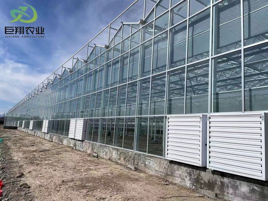 Tunnelverbouwmethode Multi Span kas met warm gedipteerd gegalvaniseerd stalen buis