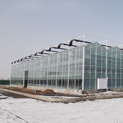 Aquacultuur met continue verwarming Kas voor hydroponische verbouwing van tomaten