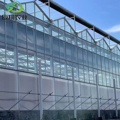 3m-8m Hoogte van het dak met meervoudige spanning Venlo glazen kas met hydroponisch kweekstelsel