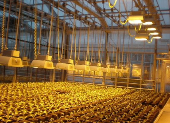 30-daagse terugkeer verlichtte kweekhuis voor zaailingen verlichtte teeltmethode