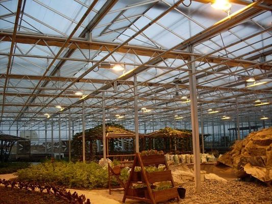 Tomaten, komkommers, sla Groeiingssysteem Bruto gewicht 2000.000kg Verzoek Aanpassing