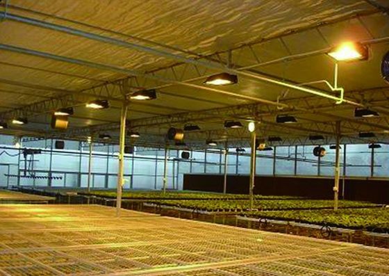 Tomaten, komkommers, sla Groeiingssysteem Bruto gewicht 2000.000kg Verzoek Aanpassing