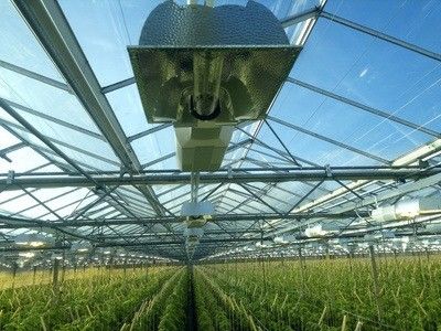 Tomaten, komkommers, sla Groeiingssysteem Bruto gewicht 2000.000kg Verzoek Aanpassing