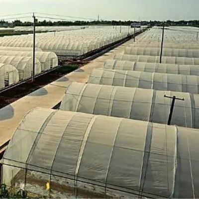 VS/Ca Landbouwsalon met tunnelfilm voor paddenstoelen en groenten