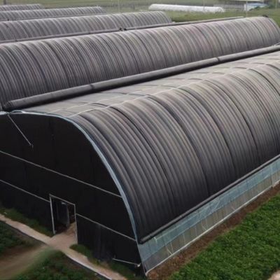 VS/Ca Landbouwsalon met tunnelfilm voor paddenstoelen en groenten