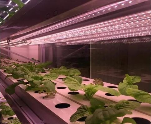 2000.000kg waterbespuitingsapparaat Ruimte met gecontroleerde omgeving voor zaaien/groenten/vruchten/bloemen