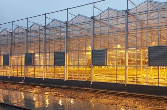 Op maat gemaakte aanvraag Juxiang Tomato Komkommer Salad structuur Verlichting kas