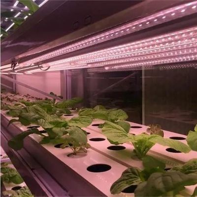 Teruggave van restituties Gegarandeerde multi-span kas voor de teelt van tomaten, komkommers en sla