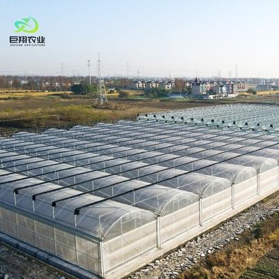 Double Arch Beam Sunlight Greenhouse voor zwaar sneeuwgebied met sneeuwvibrator