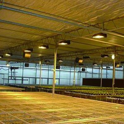 Teruggave van restituties Gegarandeerde multi-span kas voor de teelt van tomaten, komkommers en sla