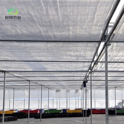 Double Arch Beam Sunlight Greenhouse voor zwaar sneeuwgebied met sneeuwvibrator