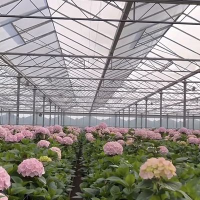 50.00cm * 60.00cm * 80.00cm Verpakkingsgrootte Glas Kas Hydroponics Groei Systeem