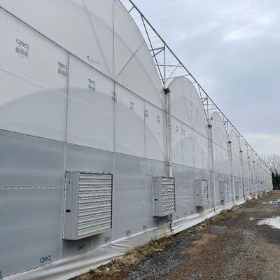 Landbouwscherm van kunststof met een tunnelfilm met een hoogte van 3 tot 8 m