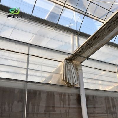Landbouwscherm van kunststof met een tunnelfilm met een hoogte van 3 tot 8 m