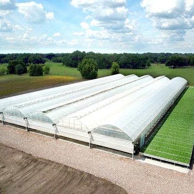 Landbouwscherm van kunststof met een tunnelfilm met een hoogte van 3 tot 8 m