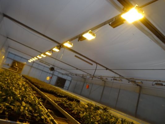 Wet Curtain Controlled Illuminating Greenhouse voor 2000.000kg pakket brutogewicht