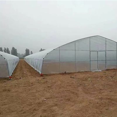 Boogdak Landbouw Multi-Span Plastic Tunnel JX-PC Groenhuis voor Landbouw