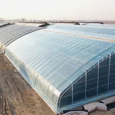 Op maat gemaakte productie Groentehuizen Landbouw Multi-Span Plastic Tunnel Film