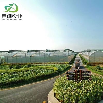 Op maat gemaakte aanvraag Landbouwproductie met meerdere spanningen Plastic Tunnel Film