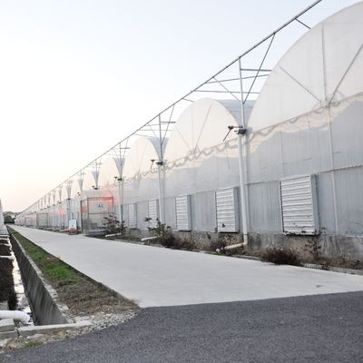 Op maat gemaakte aanvraag Landbouwproductie met meerdere spanningen Plastic Tunnel Film