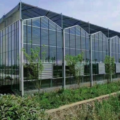 Multi-Span Hydroponics met een goede lichttransmissie en aanpasbare opties