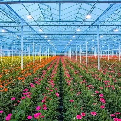 Multi-Span Hydroponics met een goede lichttransmissie en aanpasbare opties