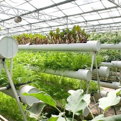 Hoge opbrengst kas hydroponisch systeem aanpassing voor commerciële duurzaamheid