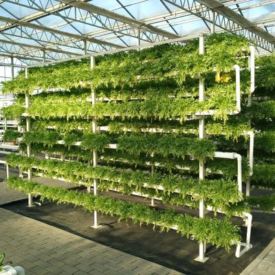 Hydroponisch groeiende multi-schaduw scherm glazen kas met staalstructuur en span
