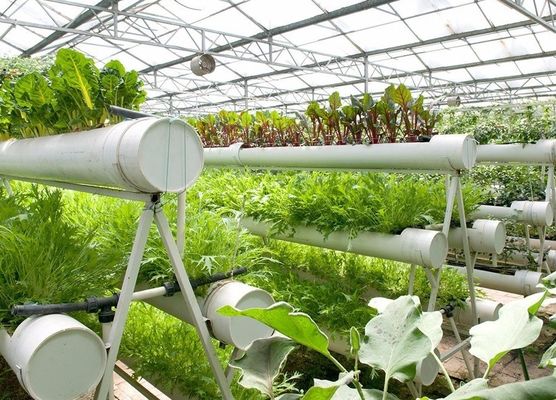 Landbouwfilmplantenhuis hydroponische installatie met staalstructuur en grootschalige capaciteit