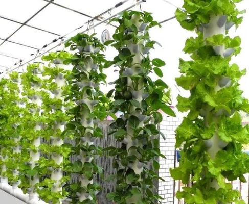 Landbouwfilmplantenhuis hydroponische installatie met staalstructuur en grootschalige capaciteit