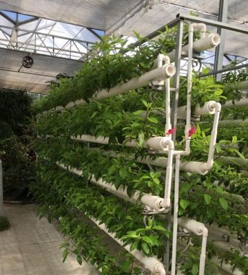Landbouwfilmplantenhuis hydroponische installatie met staalstructuur en grootschalige capaciteit