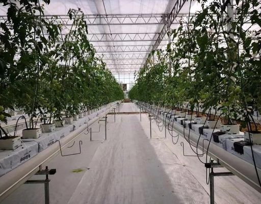Film Kas Hydroponisch systeem Pakket Bruto gewicht 2000.000kg Op maat gemaakte aanvraag