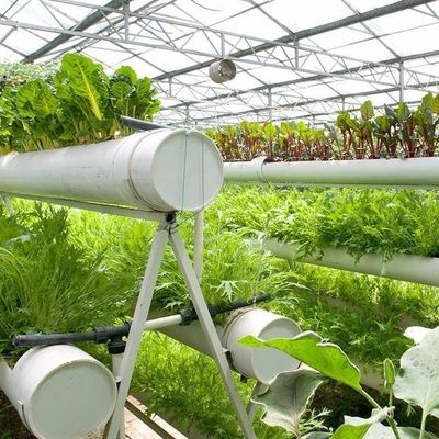 6/9.6/12 meter Teeltmethode Hydroponisch systeem voor Juxiang Film Kas Makkelijk