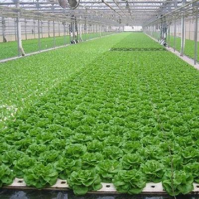 6/9.6/12 meter Teeltmethode Hydroponisch systeem voor Juxiang Film Kas Makkelijk