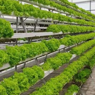 6/9.6/12 meter Teeltmethode Hydroponisch systeem voor Juxiang Film Kas Makkelijk