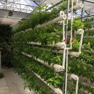 Innovatief hydroponisch systeem voor verbouwing van filmkasten