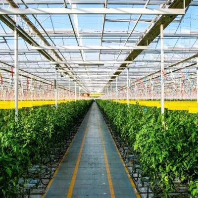 JX-A0064 Grote zwevende eenlaagige holle glazen kas voor hydroponische teelt