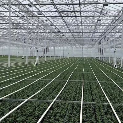 JX-A0064 Grote zwevende eenlaagige holle glazen kas voor hydroponische teelt